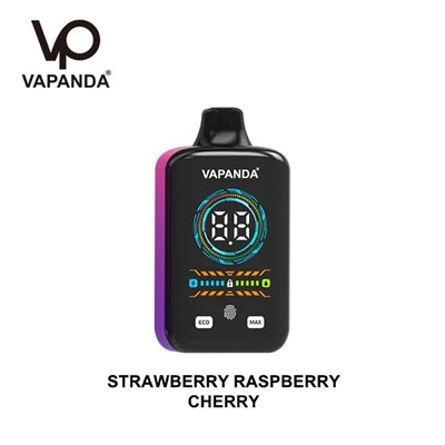 VAPANDA PRO 40000 Puff Tek Kullanımlık Vape Toptan Satış